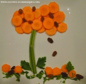 carottes legume