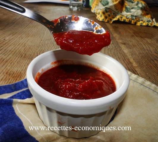 Ketchup maison : comme le vrai!! thermomix image