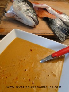 soupe de poissons tm31