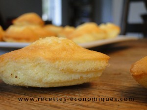 madeleines thermomix 2