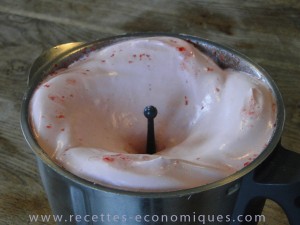 mousse fraises tm31