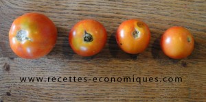 1eretomatesjardin