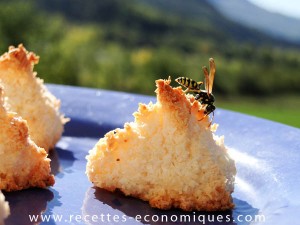 rocher coco  (1)