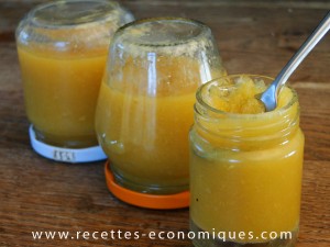 CONFITURE ORANGES THERMOMIX