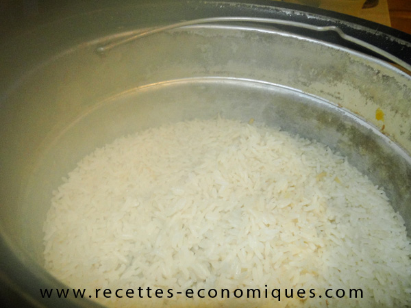 RIZ COCOTTE MINUTE