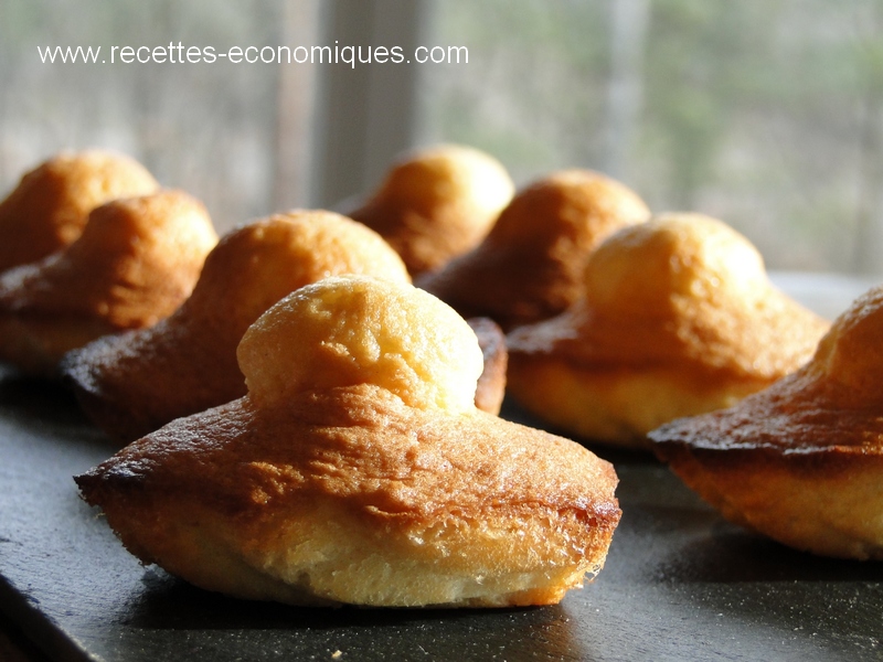 les madeleines parfaites! image