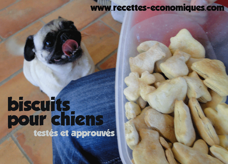 Biscuits pour chien maison image