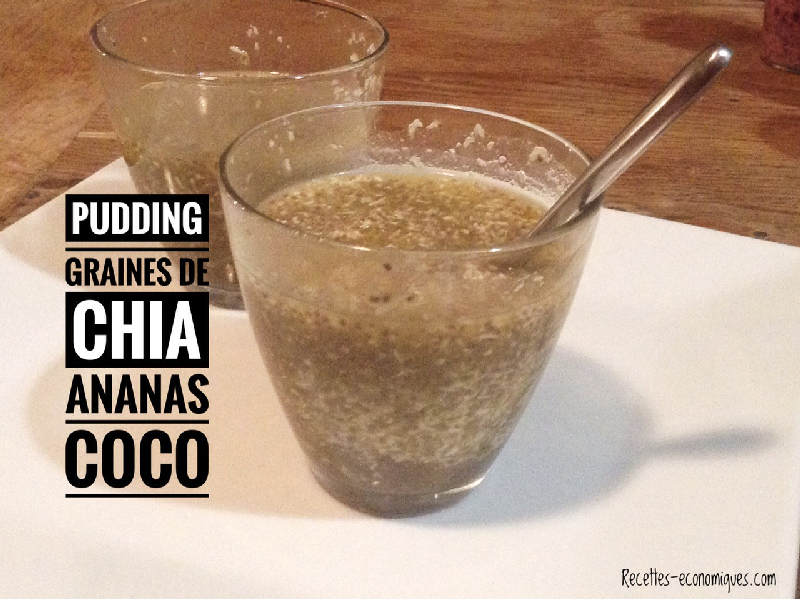 Pudding graines de chia Coco Ananas image