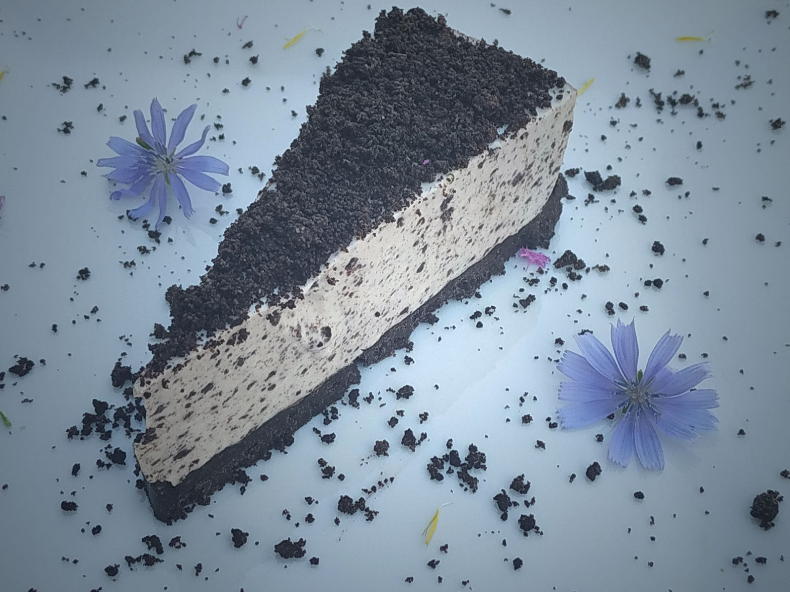 Cheesecake oreo sans cuisson thermomix image
