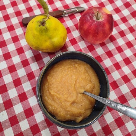 Compote de pommes coings au thermomix image
